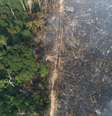 Queimadas na Amazônia  Foto: Reprodução/Estadão