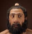 Cientista defende que acasalamento entre Homo sapiens e neandertais pode ter levado à extinção do segundo grupo  Foto: John Gurche/Chip Clark / Wikimedia Commons