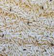 Guia da Cozinha - Alimentos com carunchos fazem mal para a saúde? O que fazer?  Foto: Guia da Cozinha
