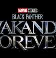 Wakanda forever  Foto: Divulgação / Famosos e Celebridades
