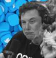 Em menos de duas semanas como CEO e único diretor, Elon Musk virou o Twitter do avesso   Foto: Ronaldo Gogoni/Meio Bit / Meio Bit