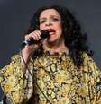 Gal costa  Foto: Divulgação/Globo / Famosos e Celebridades