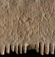 Pente antigo tem frase sobre piolhos escrita   Foto: Dafna Gazit / Israel Antiquities Authority