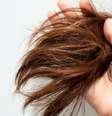 Cabelo poroso  Foto: Shutterstock / Alto Astral