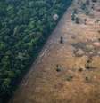 Taxa de desmatamento na Amazônia subiu nos últimos três anos  Foto: Getty Images / BBC News Brasil
