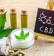 Copa do Mundo de 2022 será a primeira com CBD fora da lista de doping  Foto: Shutterstock / Saúde em Dia