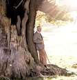Rei Charles torna-se Ranger of Windsor Great Park 11/11/2022  Foto: Divulgação