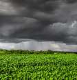  Foto: Climatempo