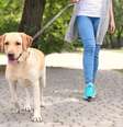 Caminhada beneficios saude  Foto: Shutterstock / Alto Astral