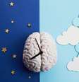 Saude cerebro  Foto: Shutterstock / Alto Astral