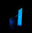 Milhares de contas dos assinantes do Twitter Blue estavam vinculadas a perfis de extrema-direita  Foto: Akshar Dave🌻  / Unsplash