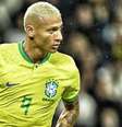 Richarlison lidera Brasil no país em que ave é animal de estimação  Foto: Instagram / Reprodução