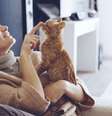 Cor pelagens gatos  Foto: Shutterstock / Alto Astral