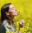 Flor cada signo  Foto: Shutterstock / Alto Astral