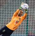Weverton é o terceiro goleiro da Seleção na Copa  Foto: Reprodução