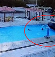 Carro desgovernado invade piscina e quase atropela crianças    Foto: Reprodução/Redes sociais