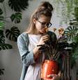 Plantas amor felicidade lar  Foto: Shutterstock / Alto Astral