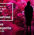 Viva magenta pantone  Foto: Reprodução / Instagram / @pantone / Alto Astral