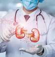 Insuficiência renal: fatores que levam à perda da função dos rins  Foto: Shutterstock / Saúde em Dia