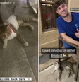 Gato conquista jogadores ingleses   Foto: Reprodução