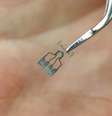 O chip microfluídico, no qual estão integrados todos os elementos do sistema, é impresso em uma impressora 3D.  Foto: Rodion Narudinov / UrFU