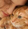 Divirta-se tentando decifrar o signo do seu gato de acordo com seu temperamento -  Foto: Shutterstock / Alto Astral