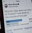 Musk lançou pesquisa online sobre se deve deixar comando da plataforma, se comprometendo a respeitar resultado  Foto: DW / Deutsche Welle