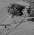 Caminho alternativo criado por pedestres na Zona Central Norte de Brasília, ao longo do Eixão, via sem calçada e com seis faixas para carros  Foto: Diego Bresani / BBC News Brasil
