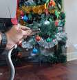 Cobra Mamba-negra  se esconde em árvore de Natal  Foto: Reprodução/Facebook/Nick Evans