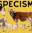  Foto: Vegano Periférico