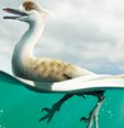  Foto: Lee et al./Yusik Choi/Communications Biology / Canaltech