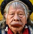 Raoni Metuktire rodou o mundo em prol das causas indígena e ambiental  Foto: AFP / BBC News Brasil