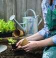 Já imaginou a praticidade que seria ter uma horta na cozinha de casa? – Foto: Shutterstock  Foto: Guia da Cozinha