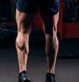 Panturrilha  Foto: Sport Life