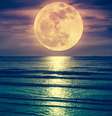 Conheça rituais para o ano da Lua -  Foto: Shutterstock / João Bidu