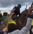 Cavalo agredido por bolsonaristas durante invasão a Brasília apresenta inchaços   Foto: Reprodução