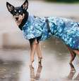 Pitti Pets possui coleiras, roupas e acessórios de luxo para animais de estimação  Foto: Ansa / Ansa - Brasil