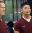 Chicago Med: 5 curiosidades que você não sabia sobre a série -  Foto: Divulgação/Universal / Famosos e Celebridades