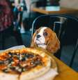  Foto: IRYNA KAZLOVA / iStock