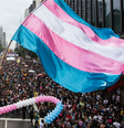 Direitos das pessoas trans no Brasil ainda são escassos e definidos pelo Poder Judiciário  Foto: CartaCapital