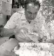Warwick Kerr temia que sua carreira ficasse marcada pelo acidente ocorrido em 1957, que deu origem às abelhas africanizadas  Foto: Acervo / SBPC / BBC News Brasil