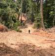 Área desmatada na Amazônia, no Pará  Foto: AFP / Ansa - Brasil