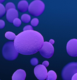  Foto: Stephanie Rossow/CDC / Canaltech