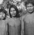 Relatório mostrou o genocídio de comunidades inteiras, torturas, sevícias, roubo, violências e crueldades praticadas contra indígenas no Brasil nas décadas de 1940, 1950 e 1960  Foto: Armazém da Memória / BBC News Brasil