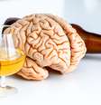 Qualquer quantidade de álcool faz mal ao cérebro, mostra estudo  Foto: Shutterstock / Saúde em Dia