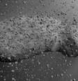 Asteroide Itokawa.  Foto: Crédito: Curtin University