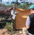 Do total de resgates em 2022, 35 eram crianças e adolescentes  Foto: Acervo/MPT Mato Grosso do Sul