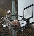 Basquete para todos  Foto: Shutterstock / Sport Life