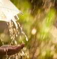 São ótimos sonhos -  Foto: Shutterstock / João Bidu