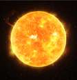 Ação do Sol em cada signo do zodíaco  Foto: Shutterstock / Portal EdiCase